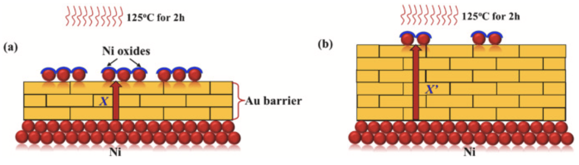 Ni擴(kuò)散及氧化示意圖 Ni擴(kuò)散及氧化示意圖