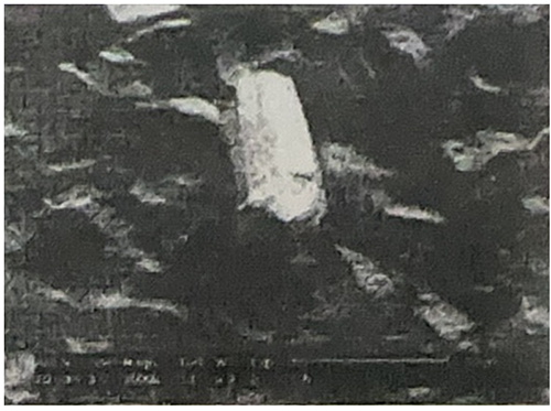 1720751932840919.png 1720751932840919.png